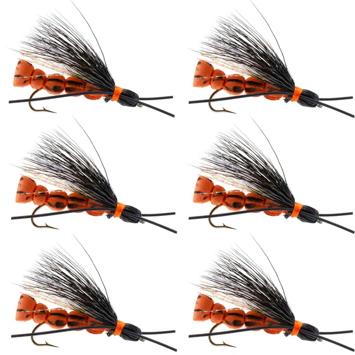 Bobs Bullethead Salmon Stone - Stonefly Dry Fly - 6 Flies Hook Size 6